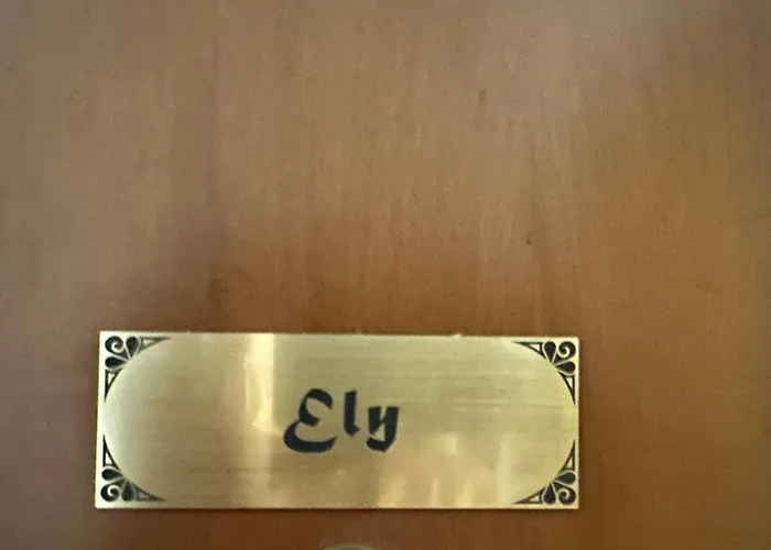 Ely Pioltello